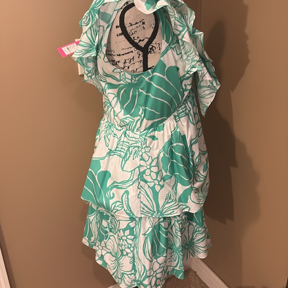 Lilly‎ Pulitzer Rita Marie V-neck Ruffle Spearmint Floral Dress - Picture 5 of 10